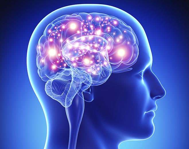 Illustration of brain neural activity